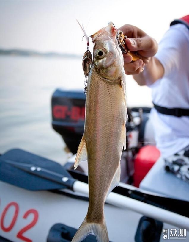 路亞魚(yú)釣價(jià)格深度解析與市場(chǎng)調(diào)研報(bào)告