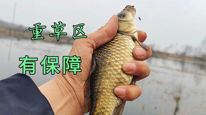 中高檔鯽魚竿，品質卓越，技術精湛