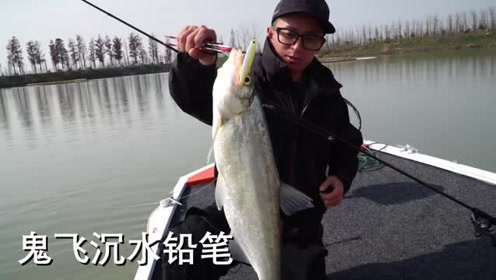 濮陽(yáng)路亞，釣魚(yú)新境界的魅力探尋